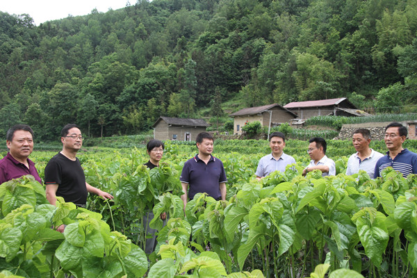 安康市商務(wù)局領(lǐng)導(dǎo)來我公司調(diào)研春蠶收購及扶貧點蠶?；亟ㄔO(shè)情況